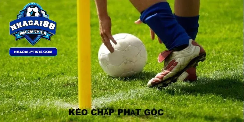 Các chiến thuật soi kèo chấp hiệu quả dành cho người mới